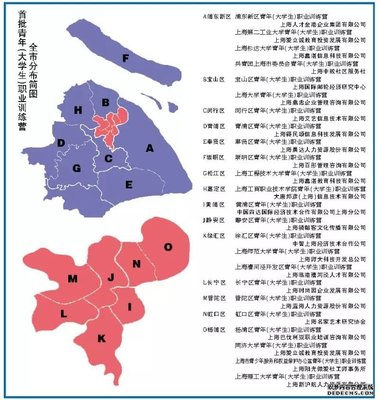 软件开发技能提升新路径 上海青年（大学生）职业训练营火热进行中